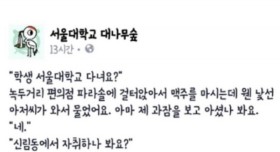 8만명을 감동시킨 대나무숲 레전드글