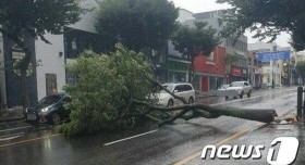 태풍 바비 제주도 피해 상황