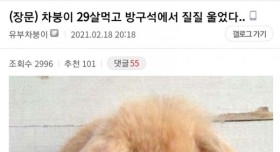 아내에게 감동받은 디씨 유부남