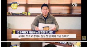 개한테 사과하는 방법